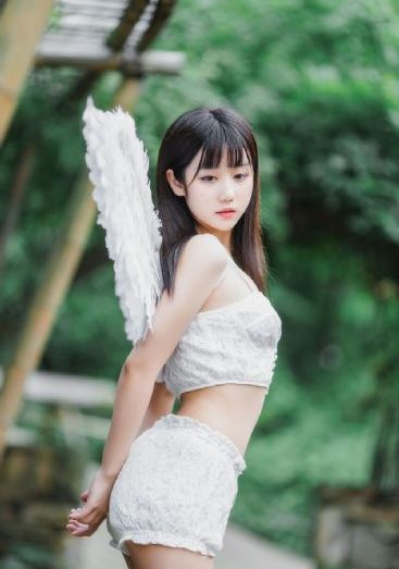 动物狂想曲第一季