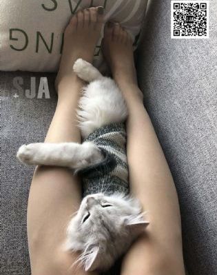 《武神主宰》完整版免费观看