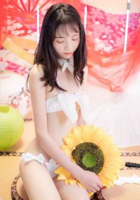 电视剧无所畏惧第二部免费观看